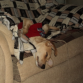 Aaron profundamente dormido